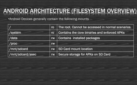 Slide 7