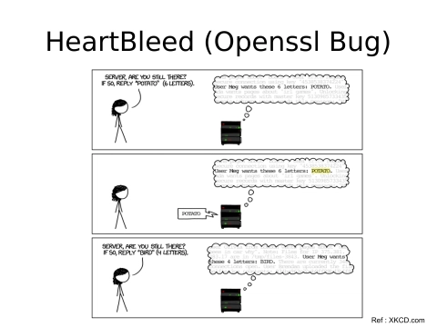 Slide 5