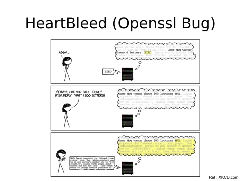 Slide 6