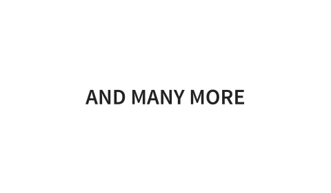 Slide 10