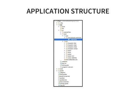 Slide 31