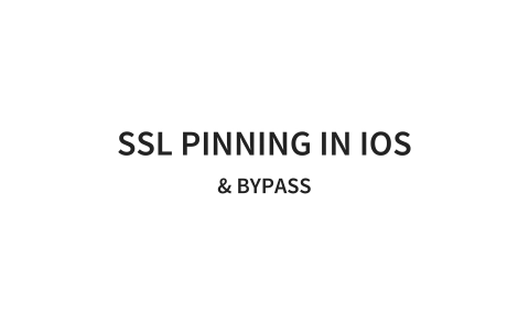 Slide 17