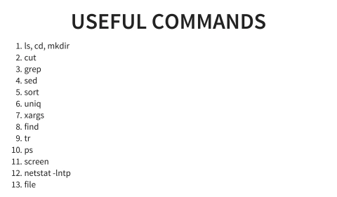 Slide 13